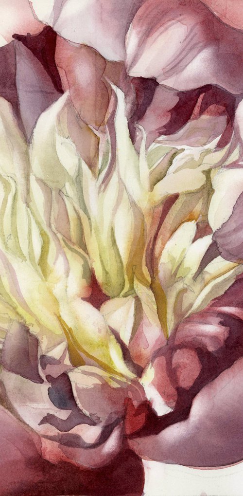 memory of spring watercolor floral by Alfred  Ng