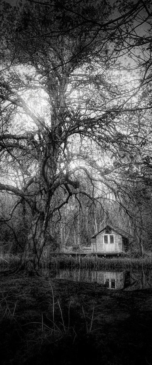 The Hut and the Tree by Martin  Fry