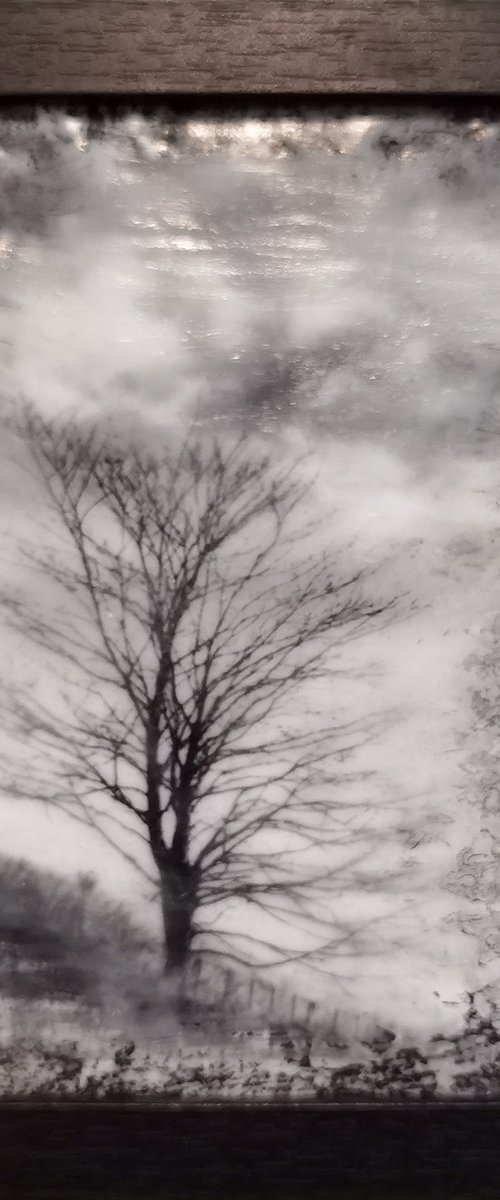 Lonely Tree by Roseanne Jones