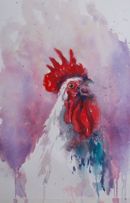 rooster 9 by Giorgio Gosti