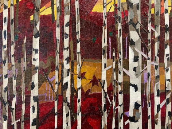 White Birches Against Red Forest