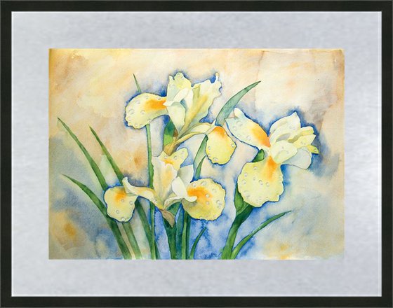 Irises