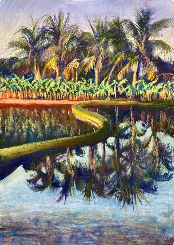 Palm reflections