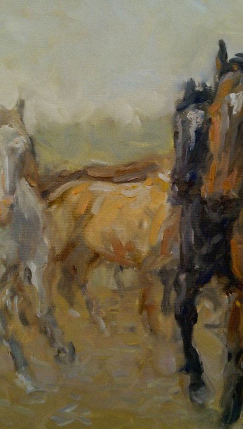 mustangs by Sebastian Beianu