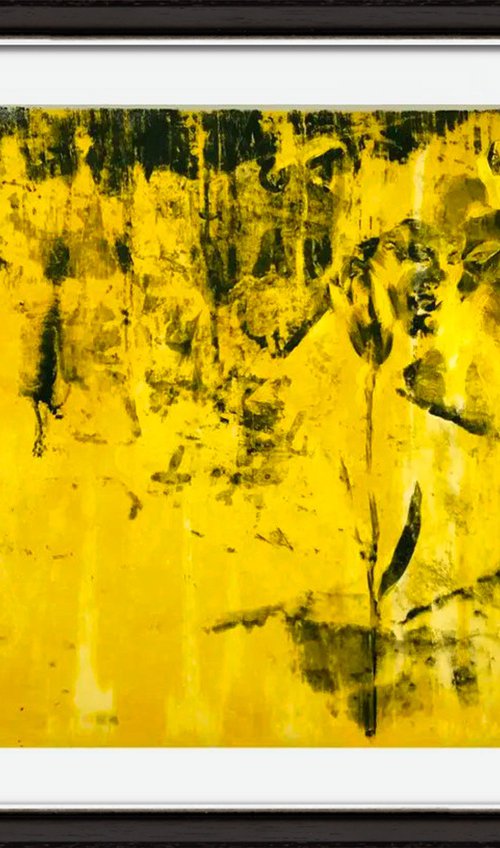 Charred field by Julia Skrypnyk