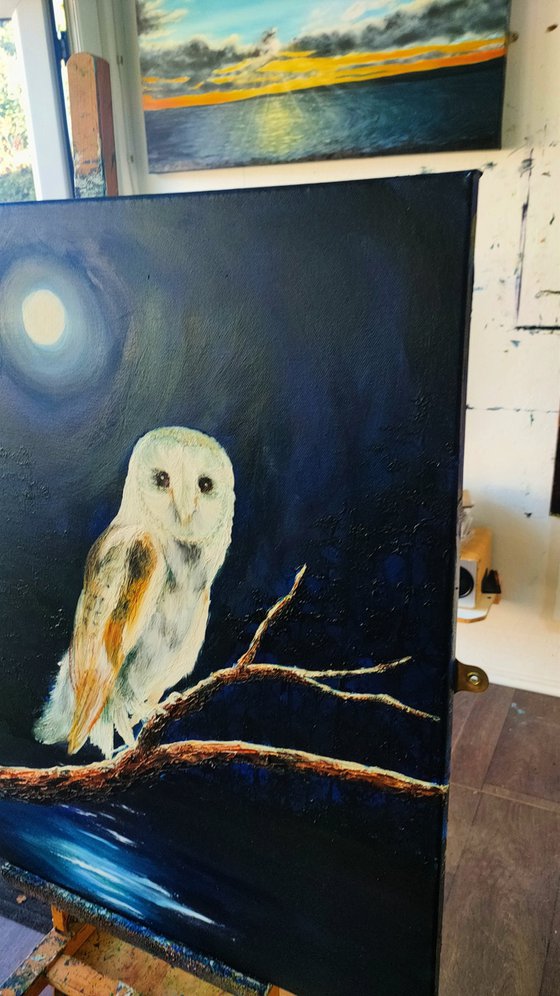 Barn Owl at Night