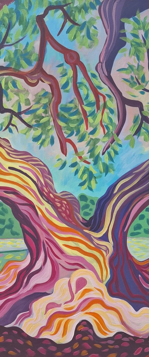 The Old Olive by Kirsty Wain