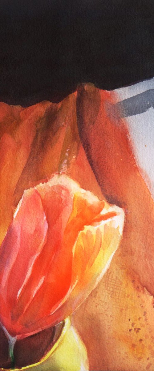 Orange Tulip by Sri Rao