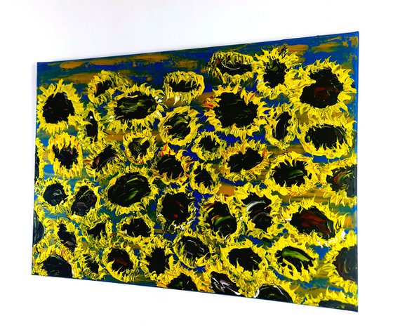Blooming sunflowers 7