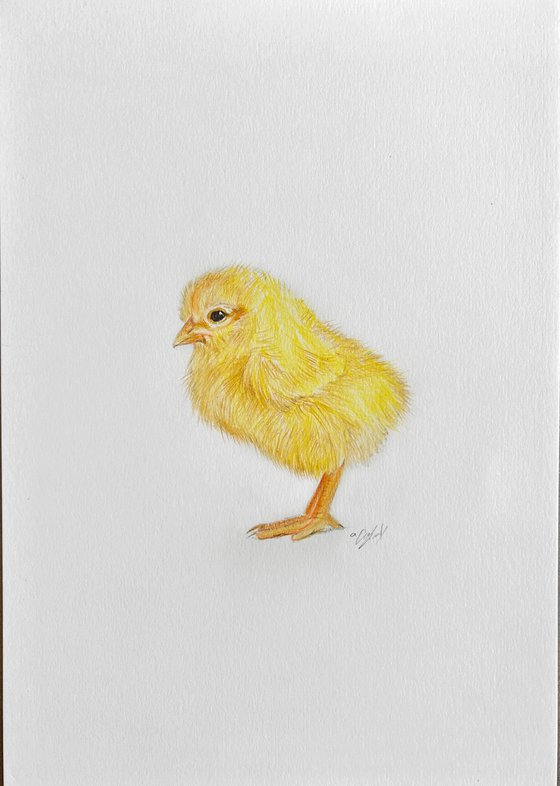 Easter chick