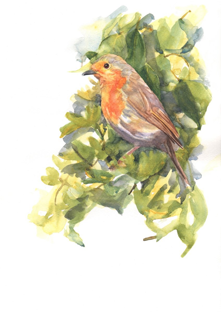 Photorealistic Watercolour , Robin Redbreast In Springtime By Sarah Stowe, 10 X 14, Artwork For Sale On Artfinder