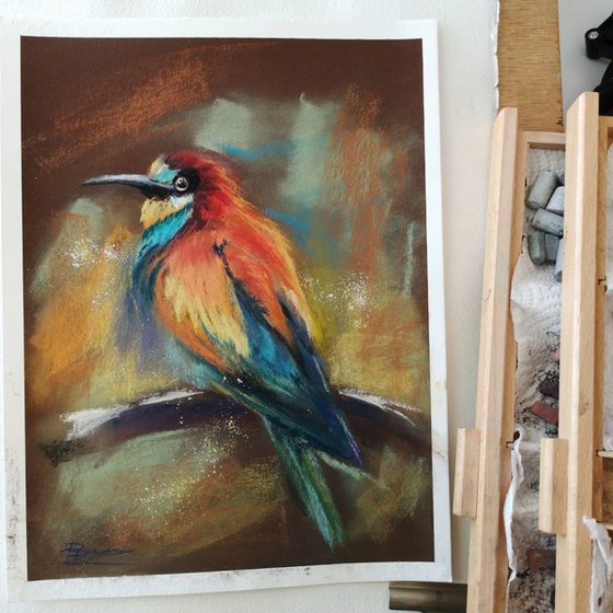 Bee Eater  (pastel)