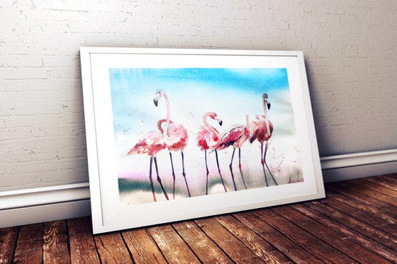 Flamingos' Morning