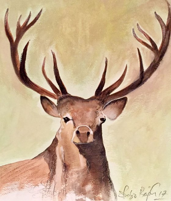 Rustic Stag