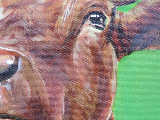 Cow close up painting green background