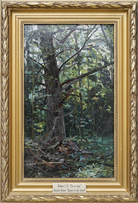 Forest. Fir-tree. Karmanovo