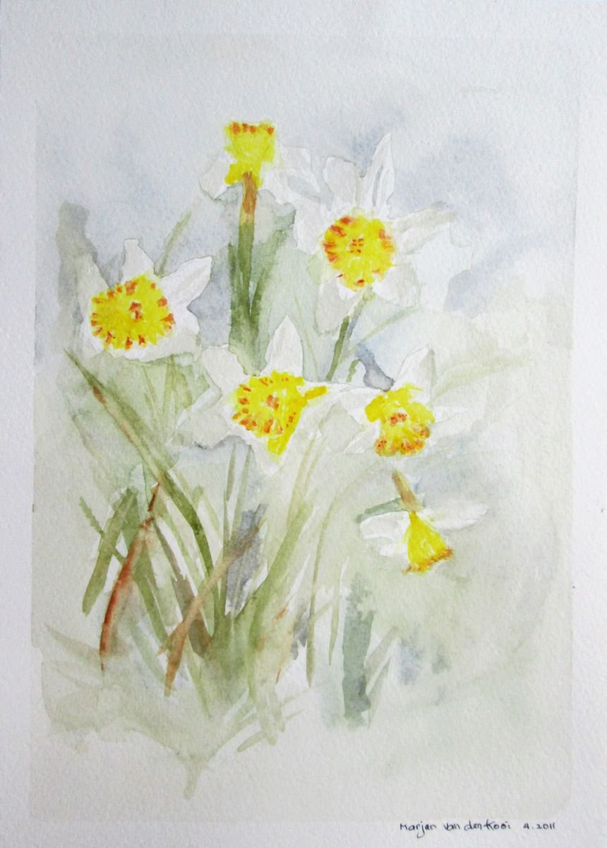 Daffodils, Spring Flower by MARJANSART