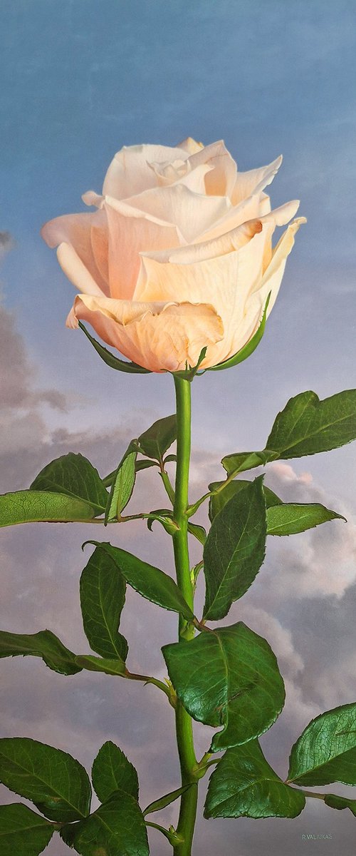 Rose II by Regimantas Valiukas