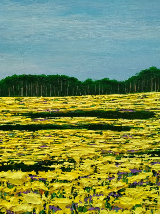 Summer Golden Fields
