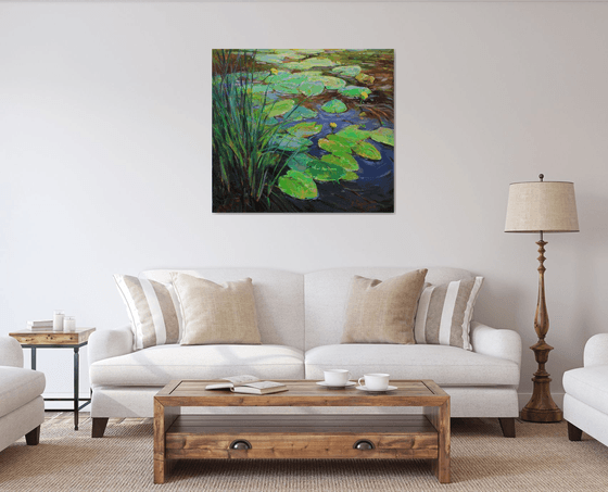 Water lilies pond