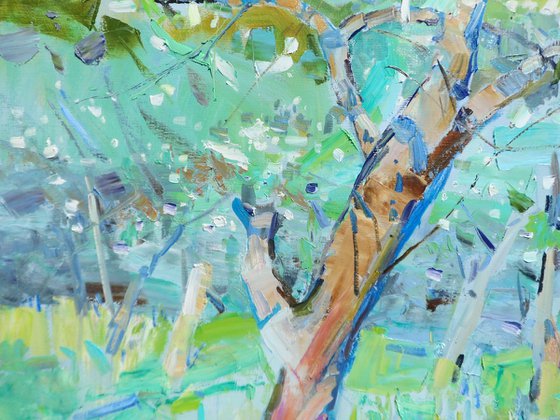 " Apple orchard "
