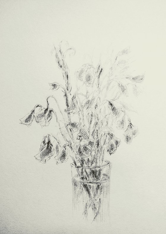 Sweet pea #4 - Still life. Original pencil drawing