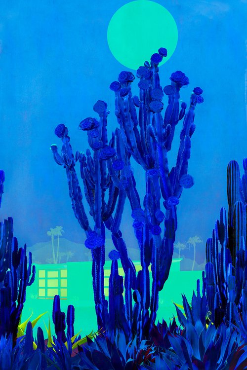 Cactus Moonlight by Nadia Attura