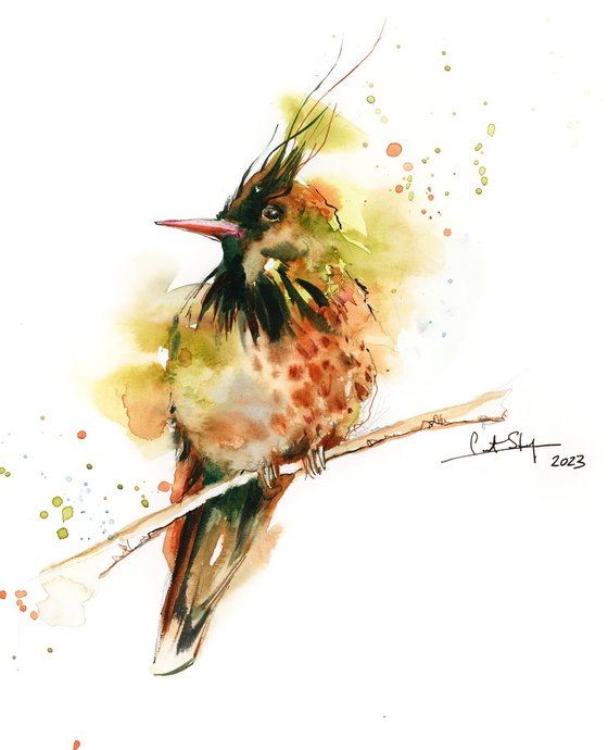 Hummingbird Bird Watercolor Painting