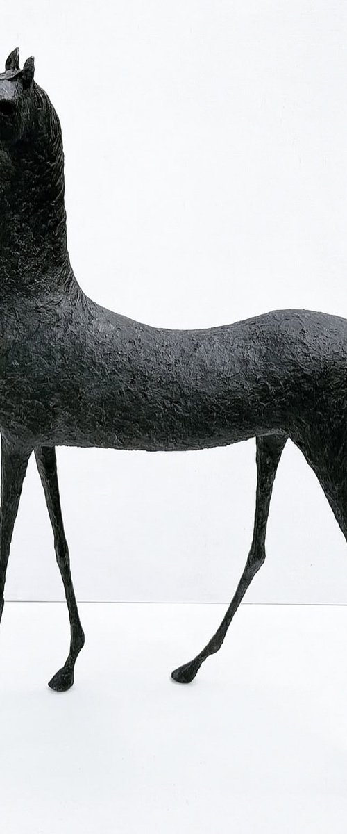 Brea by Alexandra Shorey