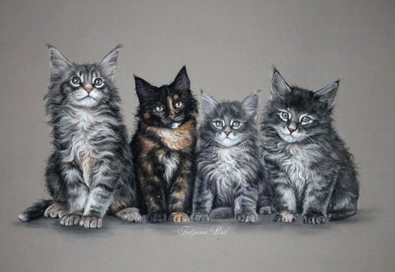 Kitten family