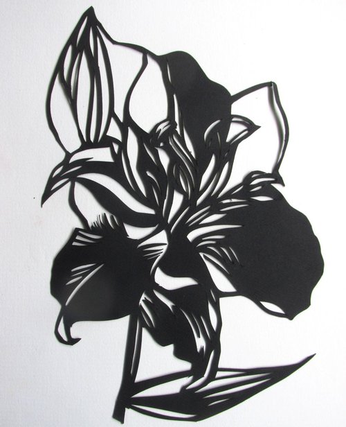 lily paper cut by Alfred  Ng