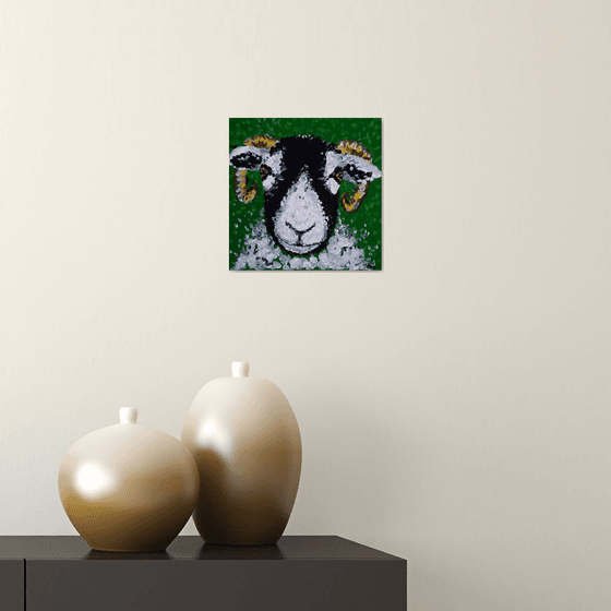 "Swaledale sheep I"