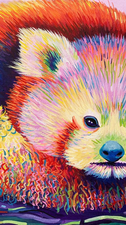 Rainbow Red Panda by Tiffany Budd