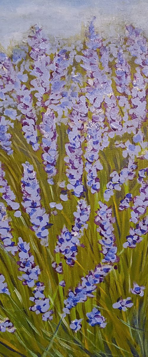 "The soul of Provence". Lavender. by Nataliya Studenikin
