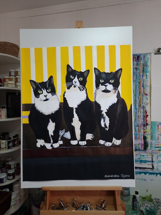 Three cats / 84 x 70 cm