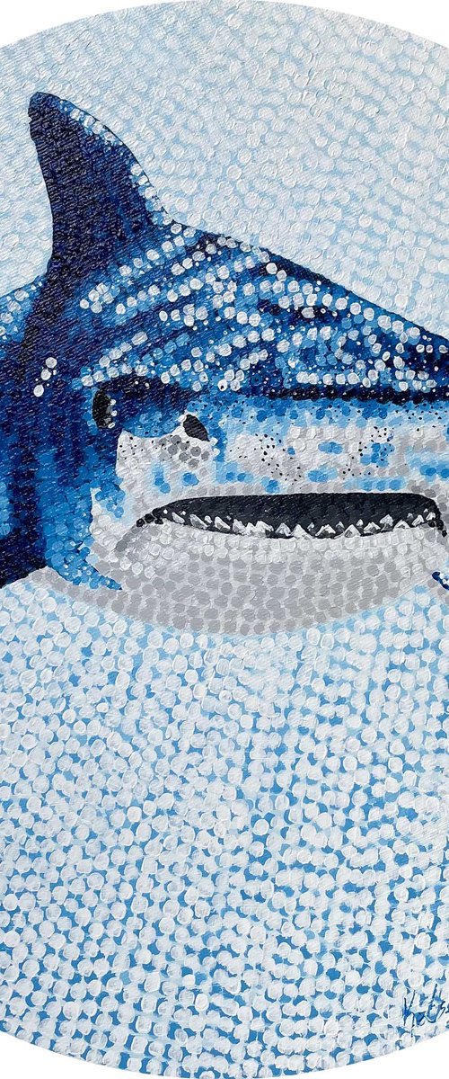Tiger Shark by Kelsey Emblow