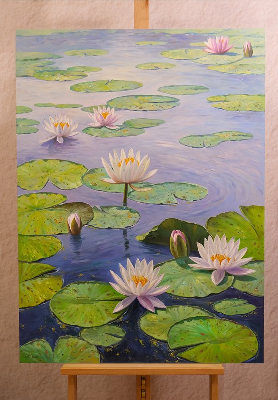 Water Lilies