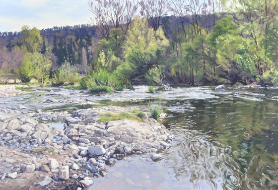 The Wild Loire In Spring