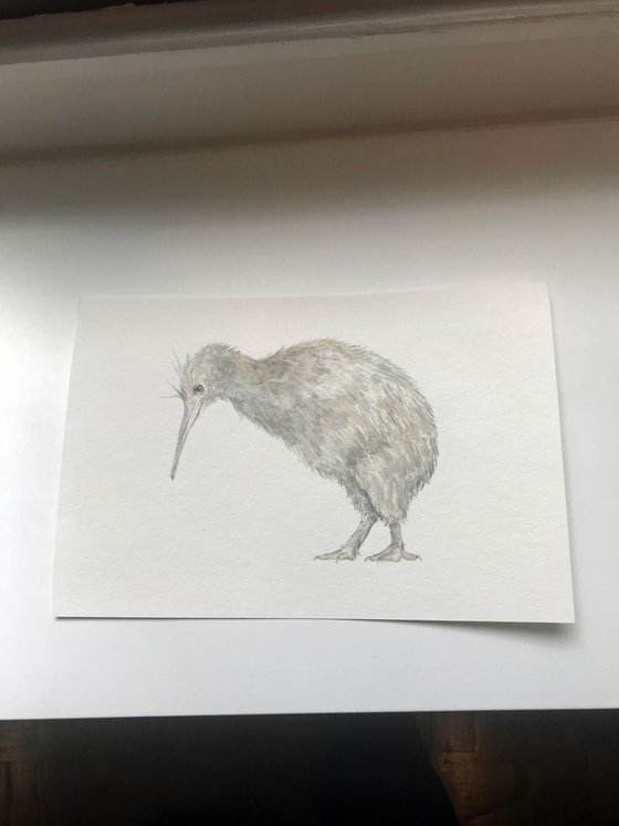 Kiwi Bird Original Watercolor