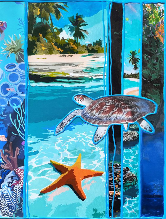 Turtles of the turquoise ocean