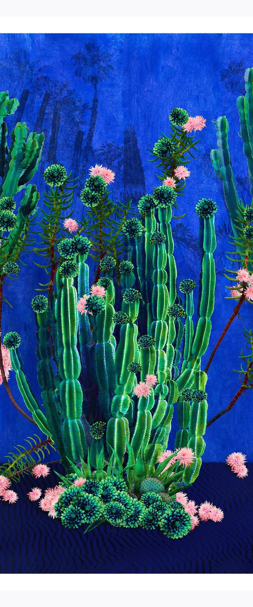 Cactus Majorelle - Framed by Nadia Attura