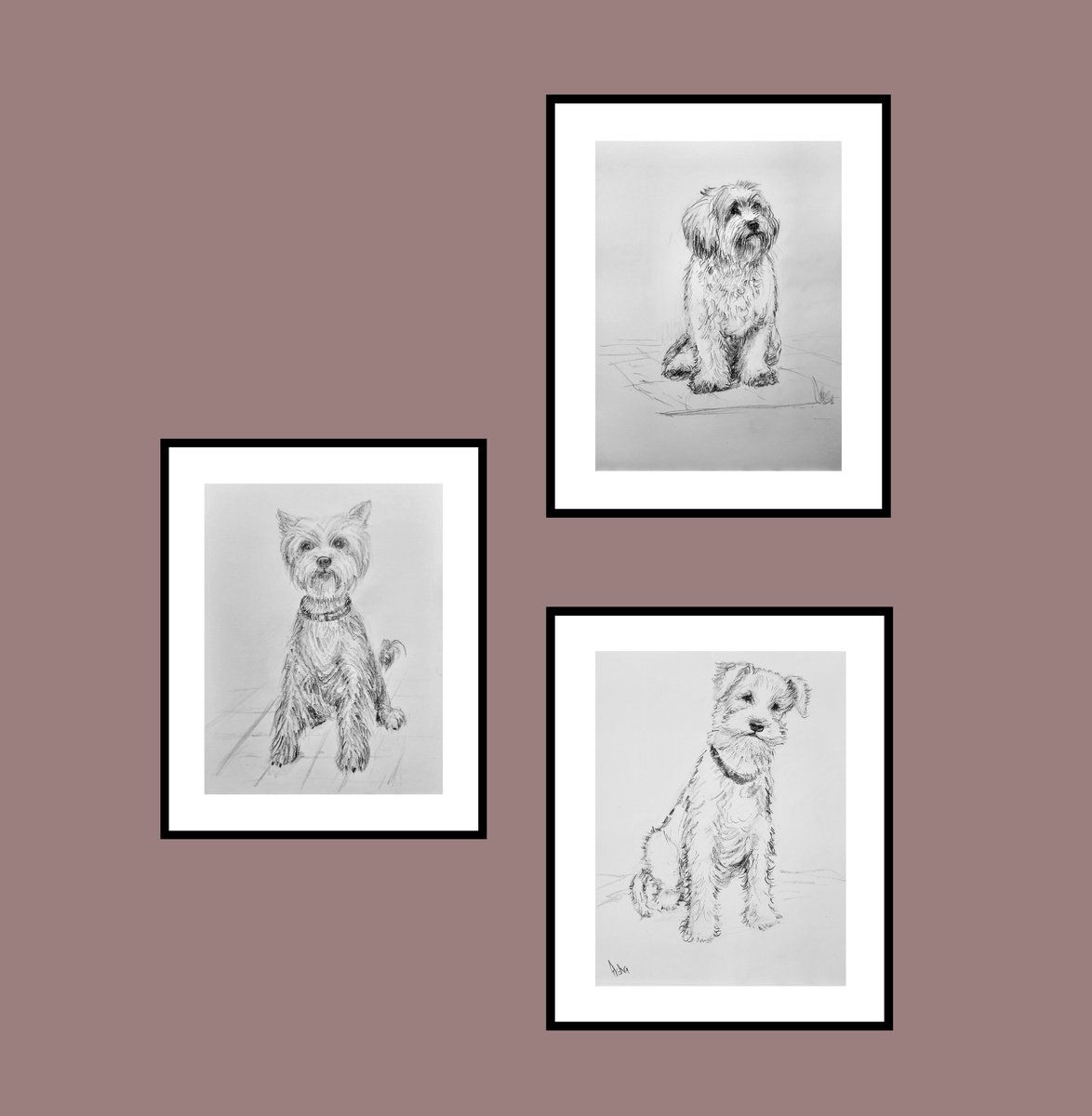 Impressionistic Animal Charcoal Drawing By Asha Shenoy, 8 X 11, Set Of Three Cute Dogs, Original Artwork