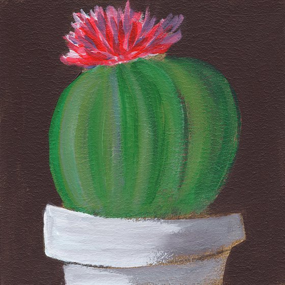 Blossoming Cactus