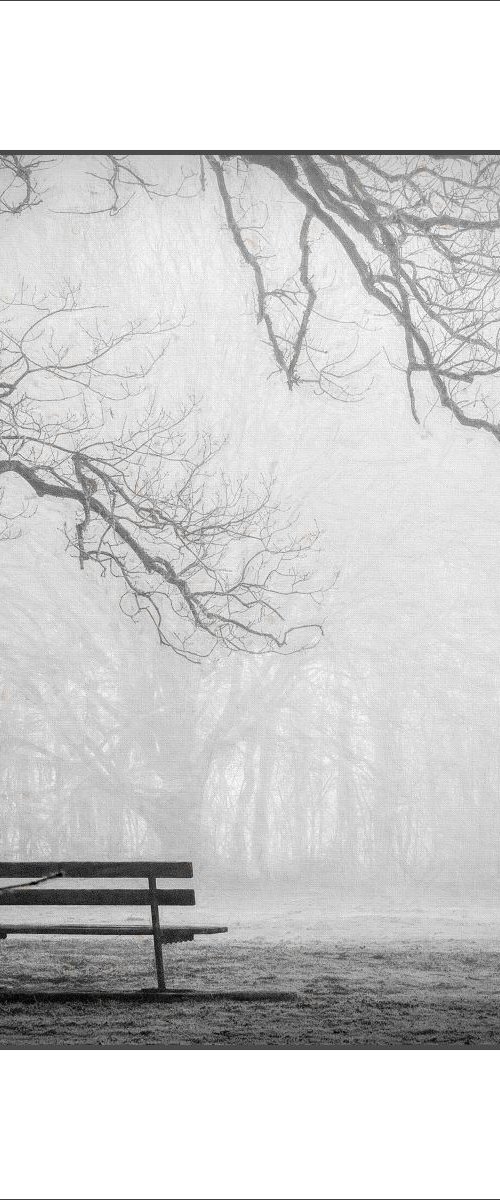 The Misty Bench... by Martin  Fry