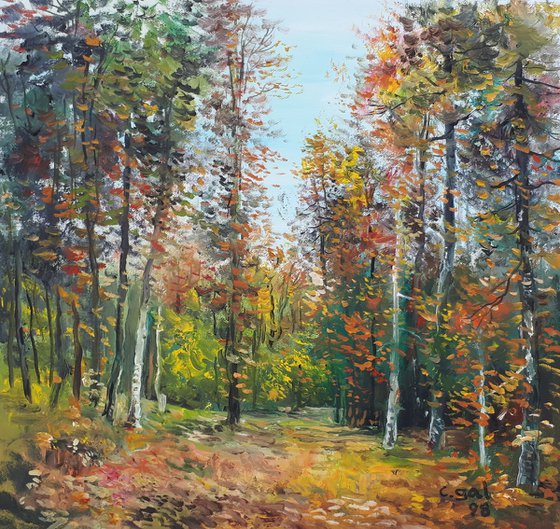 Clearing In The Forest