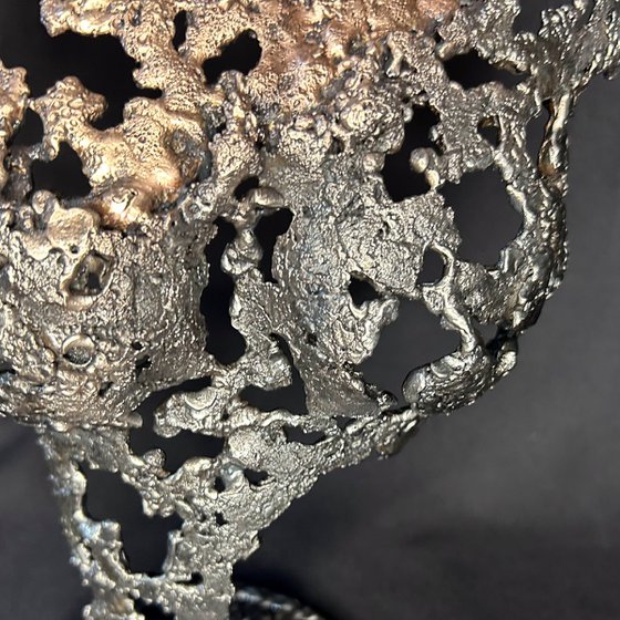 Pavarti Andalusian Trace