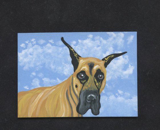 ACEO ATC Original Miniature Painting Great Dane Pet Dog Art-Carla Smale