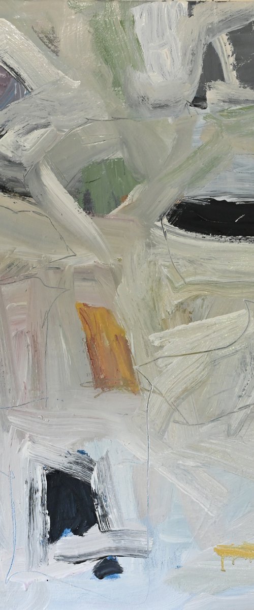 Terrain by Steve Stary