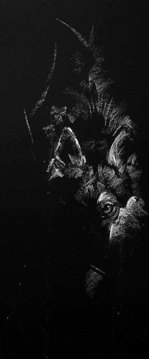 Wolf by Olga Bolgar