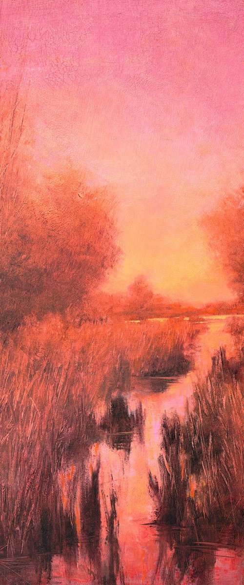 Marsh Sunset 25121 by Don Bishop